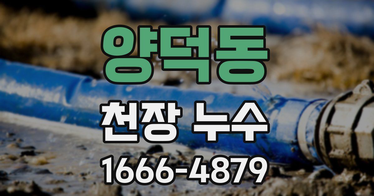 양덕동 천장 누수