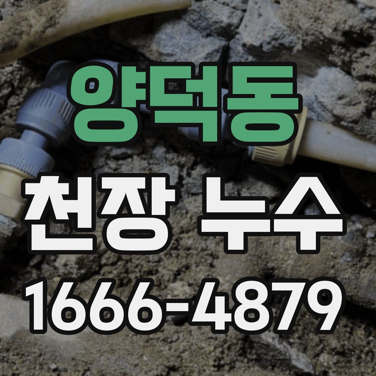 양덕동 천장 누수