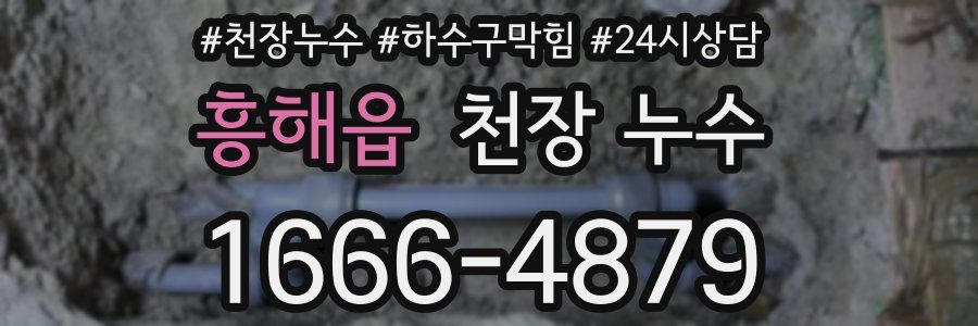 흥해읍 천장 누수