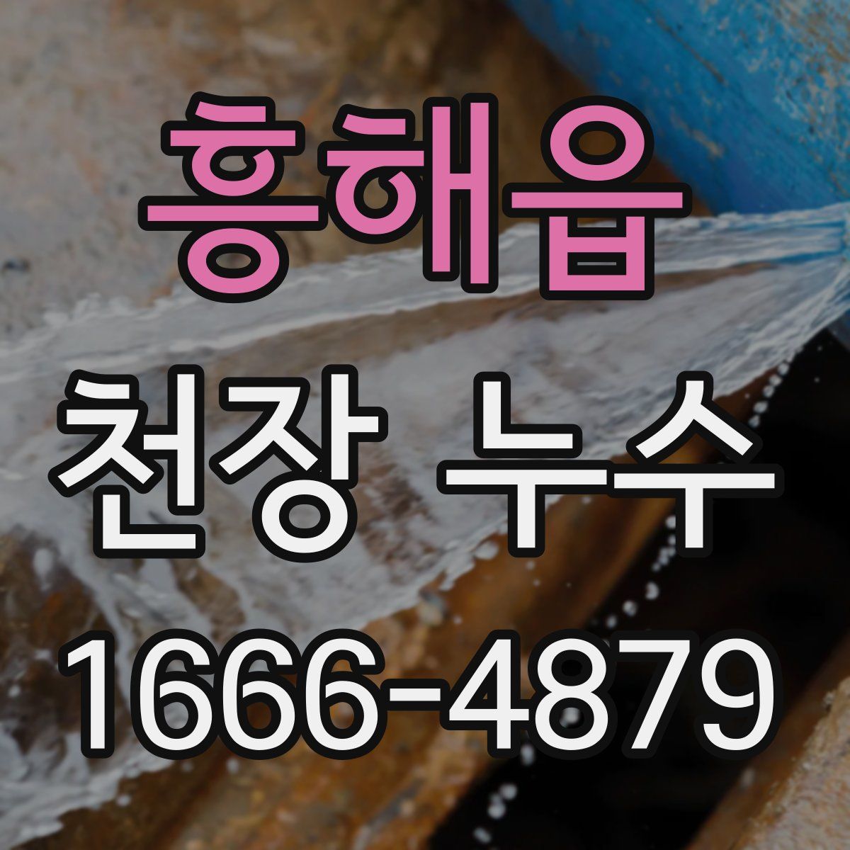 흥해읍 천장 누수