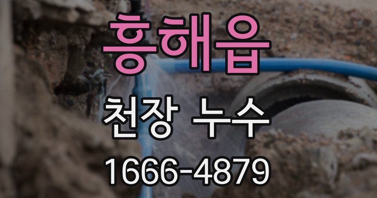 흥해읍 천장 누수