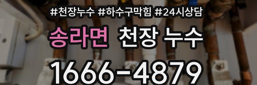 송라면 천장 누수