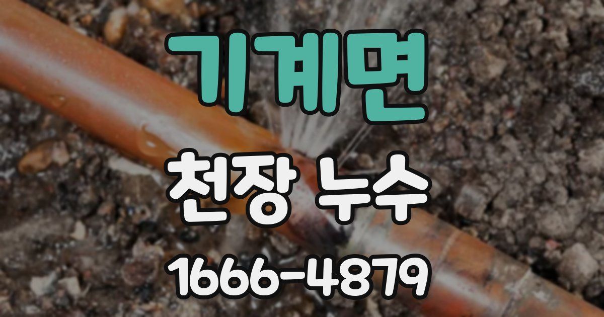 기계면 천장 누수