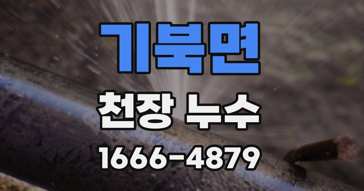 기북면 천장 누수