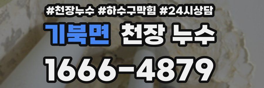 기북면 천장 누수