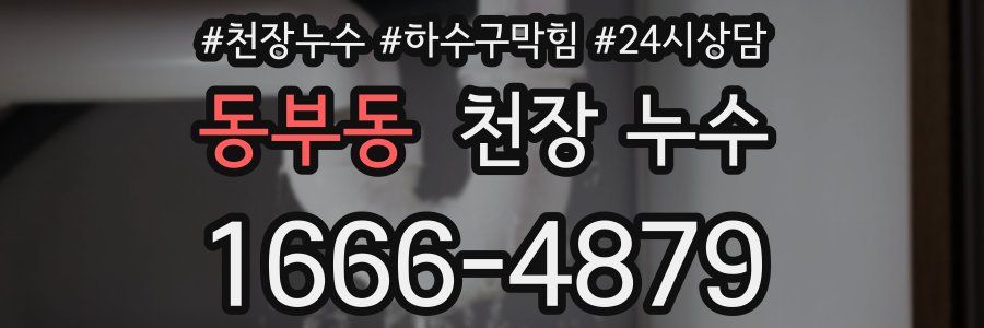 동부동 천장 누수