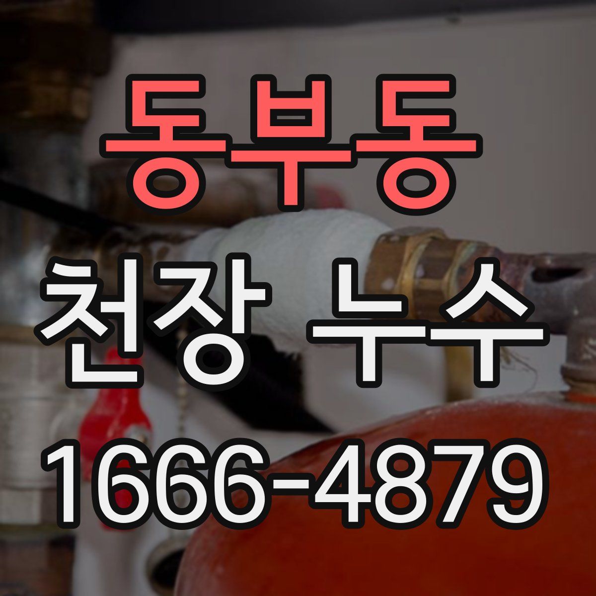 동부동 천장 누수