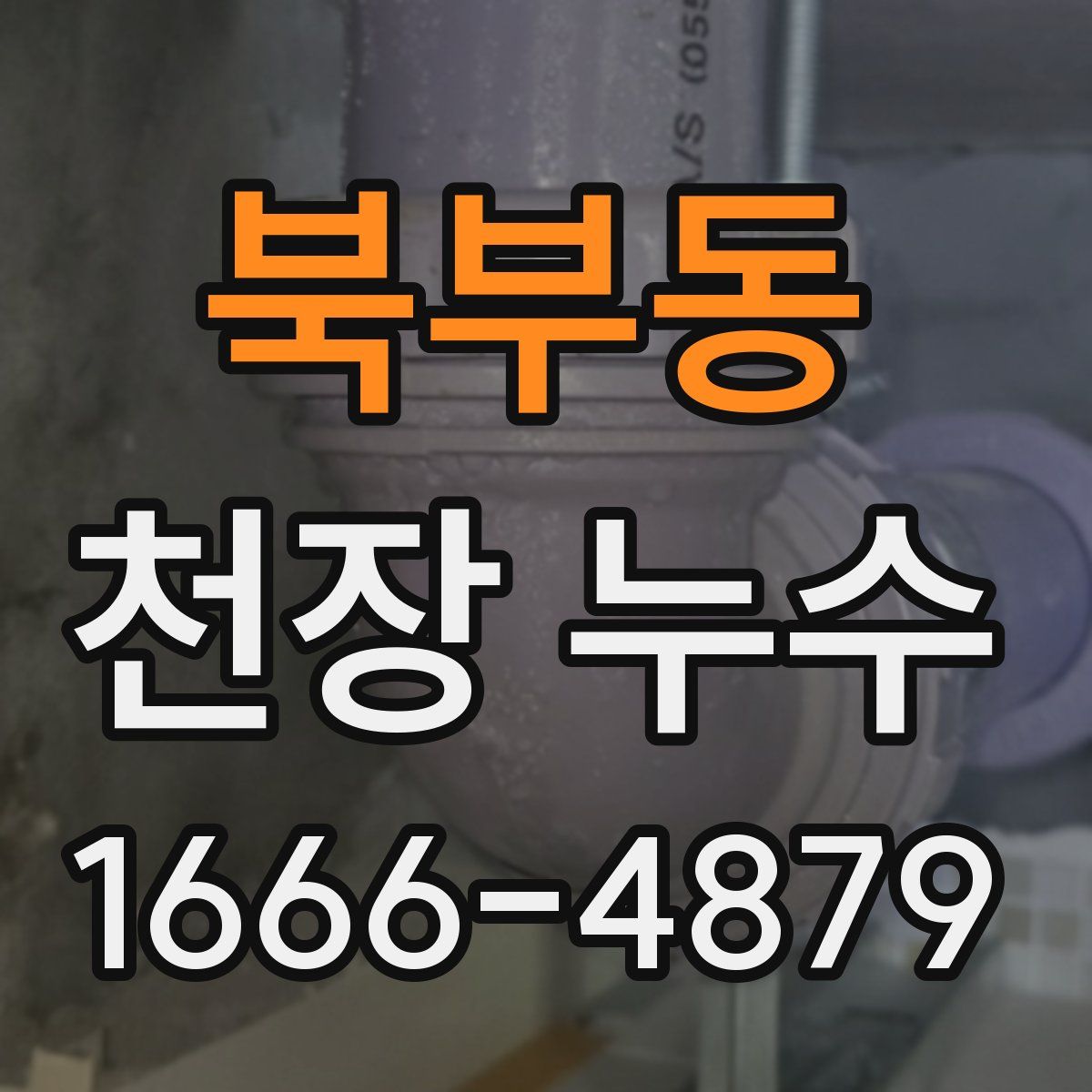 북부동 천장 누수