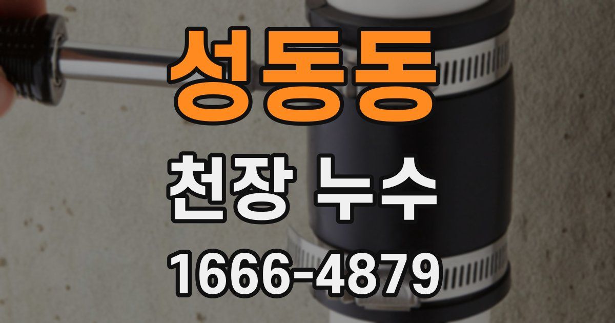 성동동 천장 누수