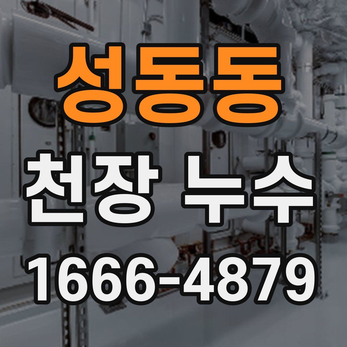 성동동 천장 누수