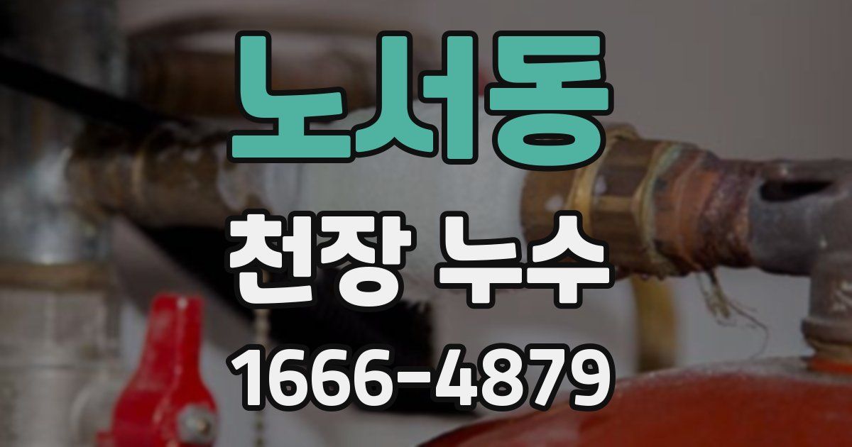 노서동 천장 누수