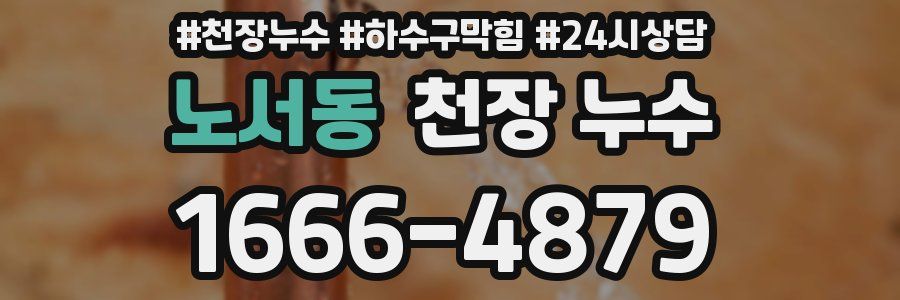 노서동 천장 누수