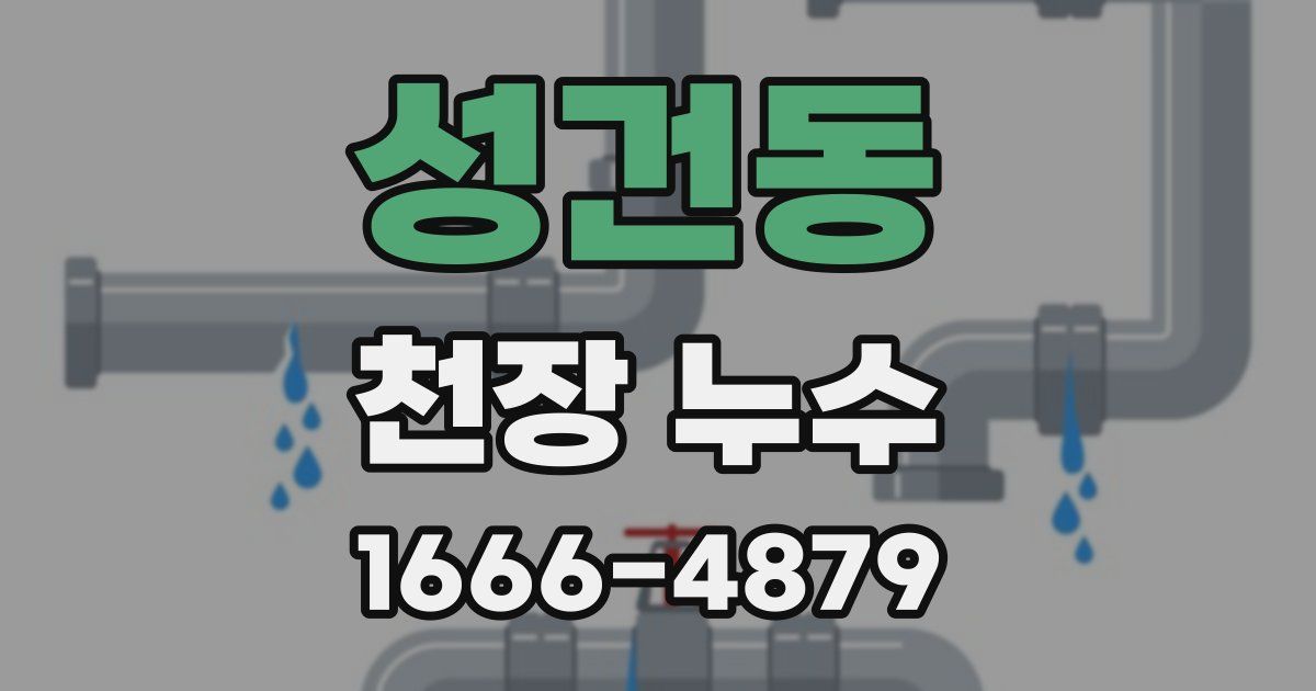 성건동 천장 누수