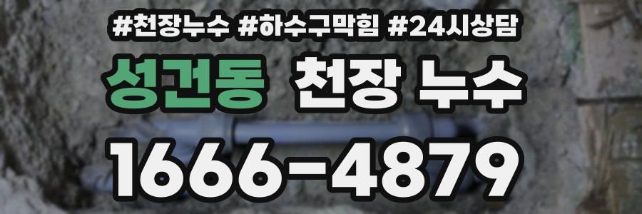 성건동 천장 누수