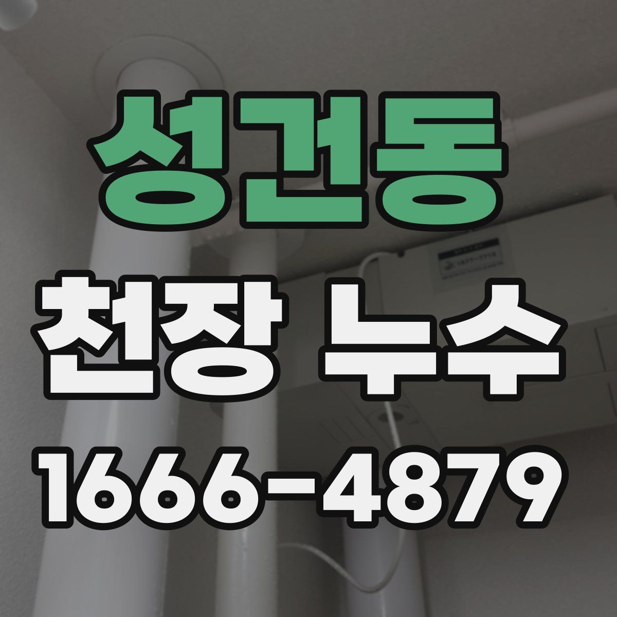 성건동 천장 누수