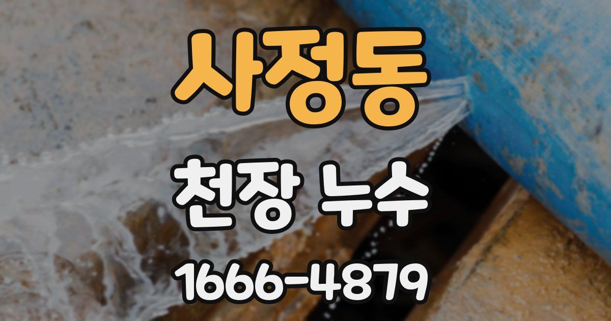 사정동 천장 누수