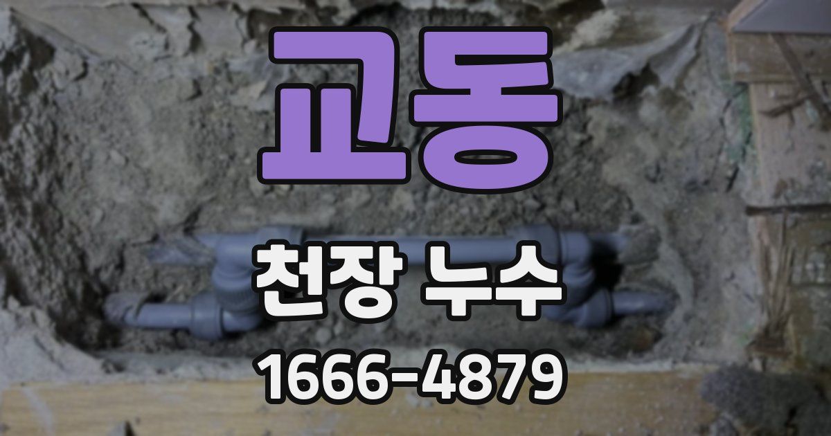 교동 천장 누수