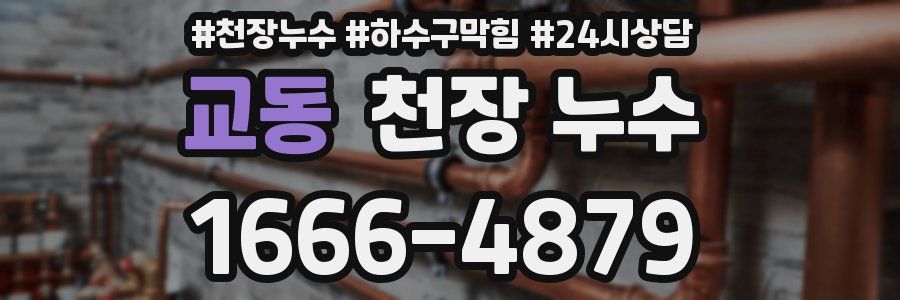 교동 천장 누수