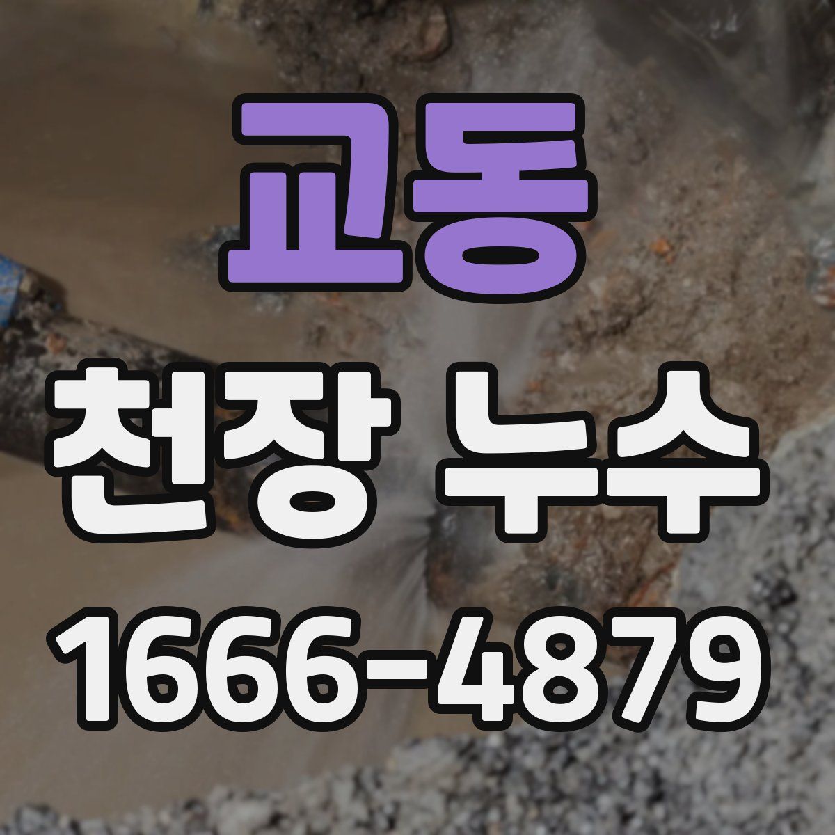 교동 천장 누수