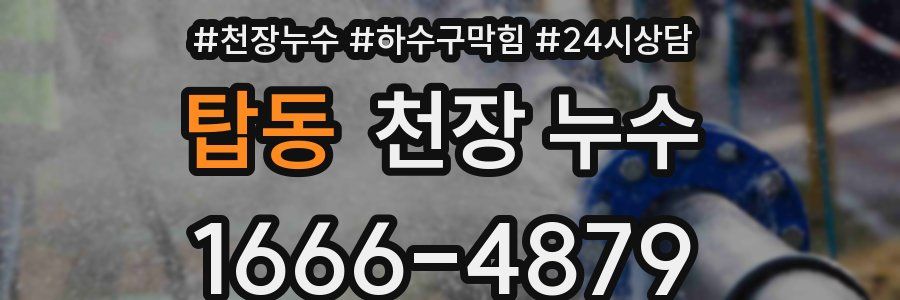 탑동 천장 누수