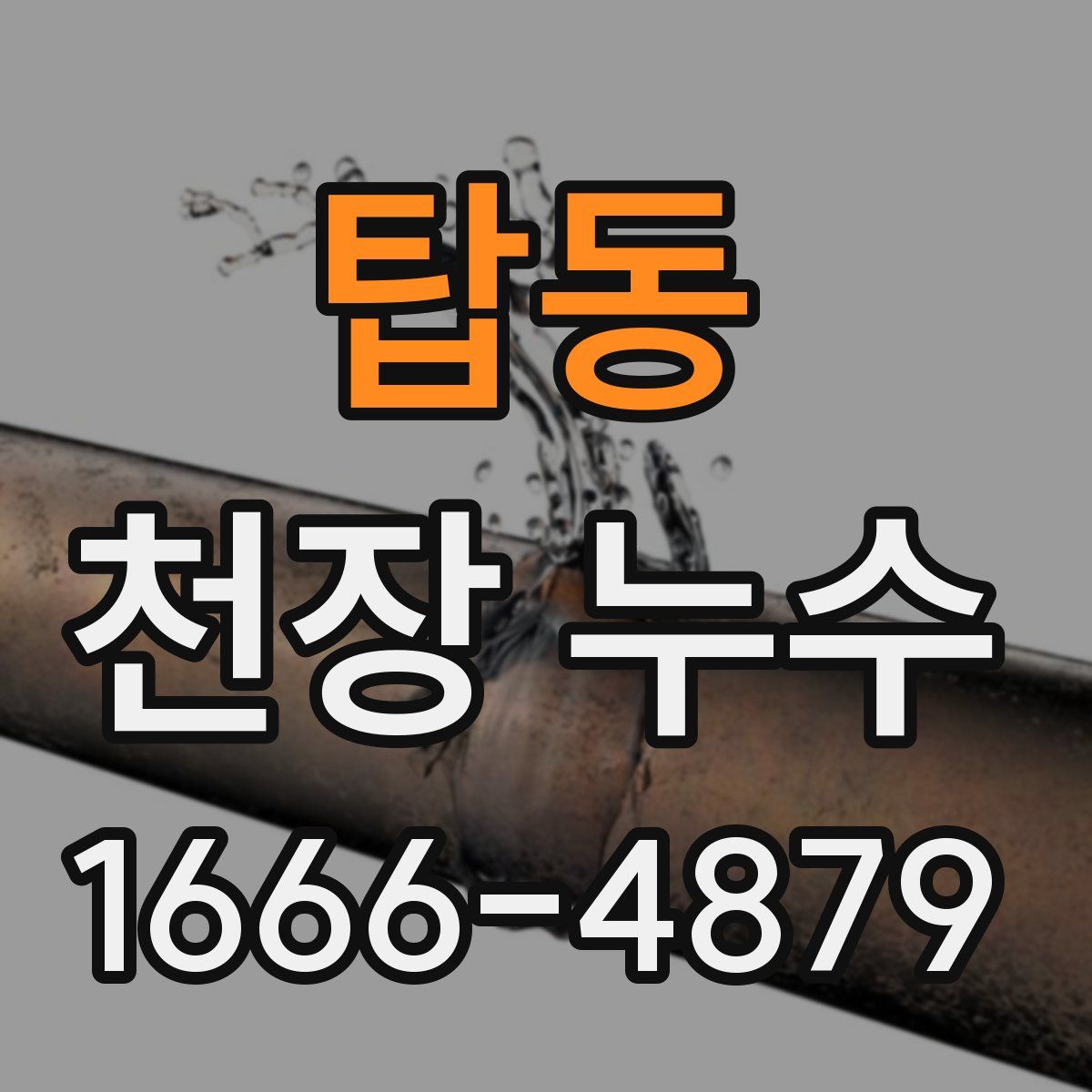 탑동 천장 누수