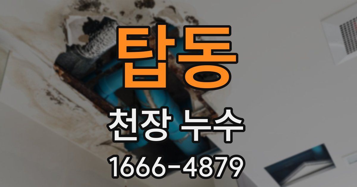 탑동 천장 누수