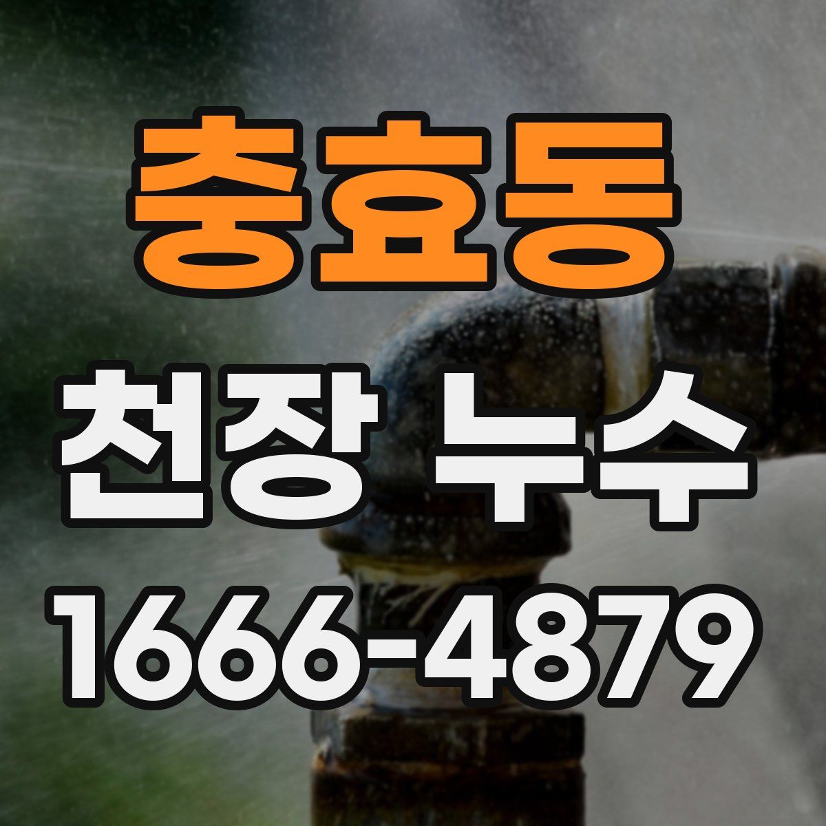 충효동 천장 누수