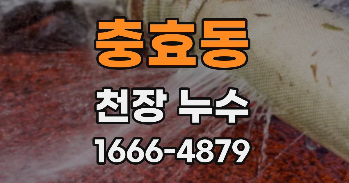 충효동 천장 누수