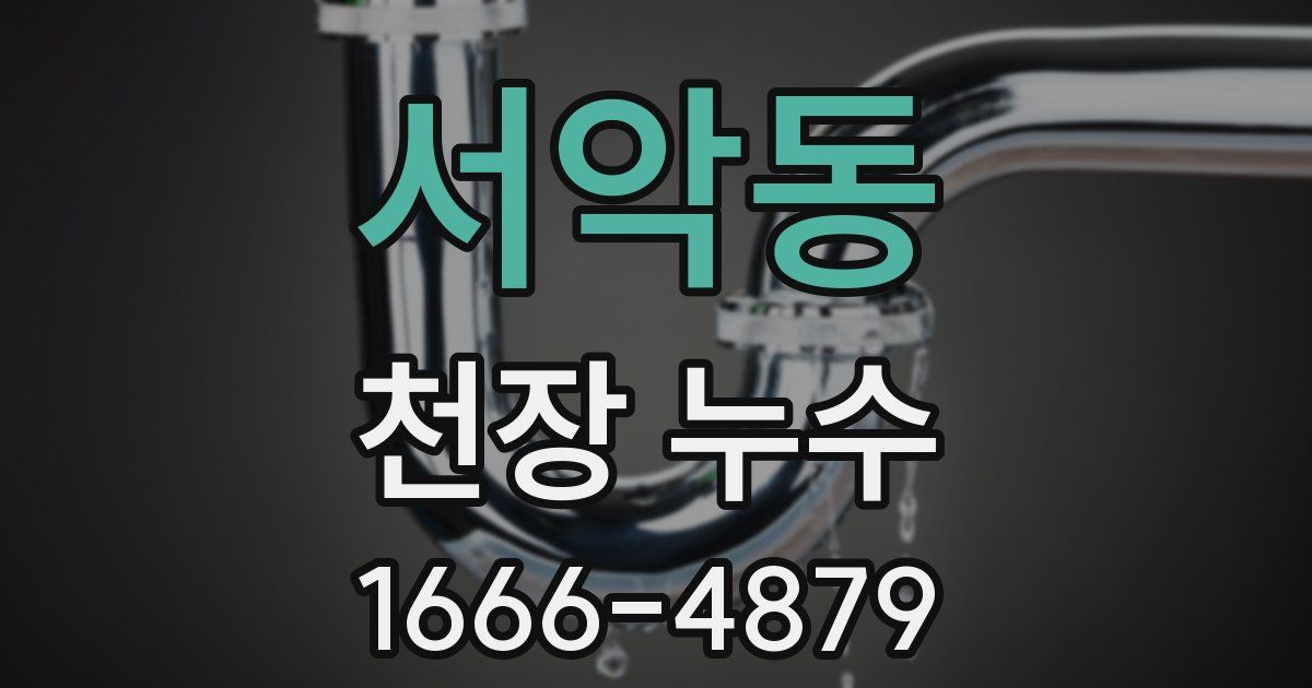 서악동 천장 누수