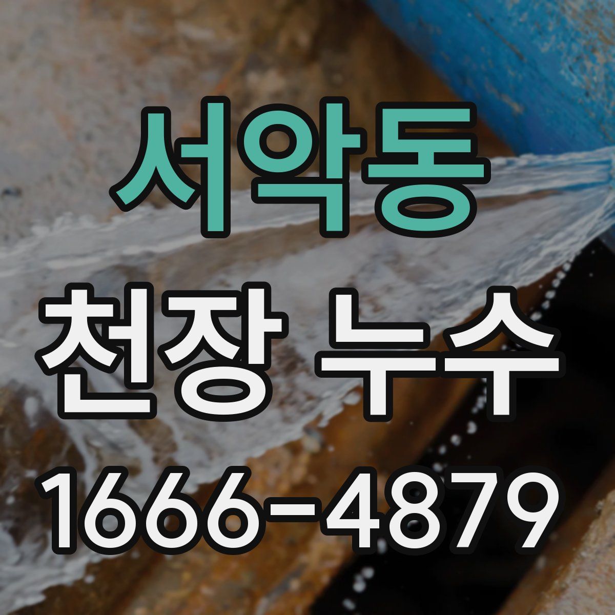 서악동 천장 누수