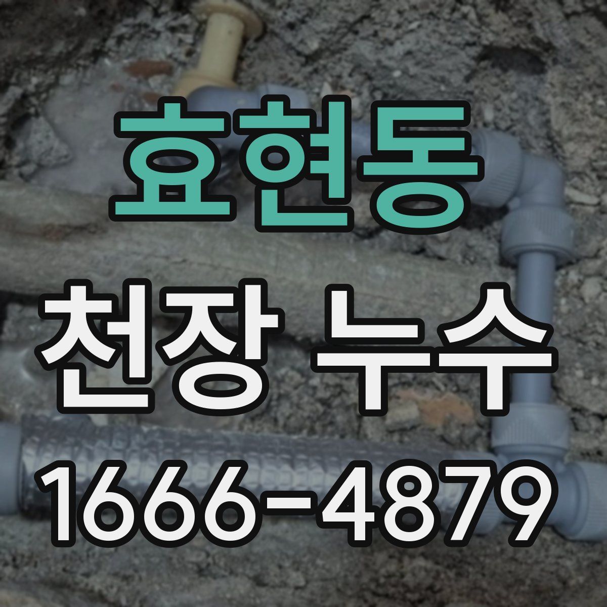 효현동 천장 누수