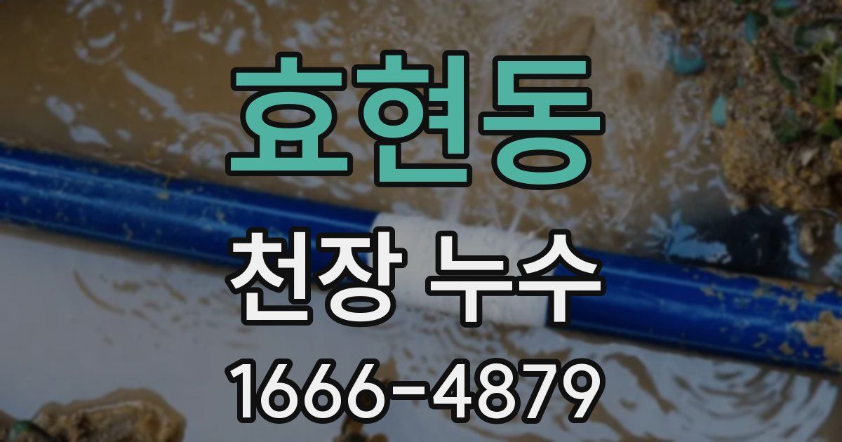 효현동 천장 누수