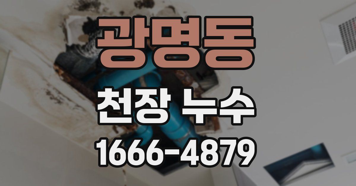 광명동 천장 누수