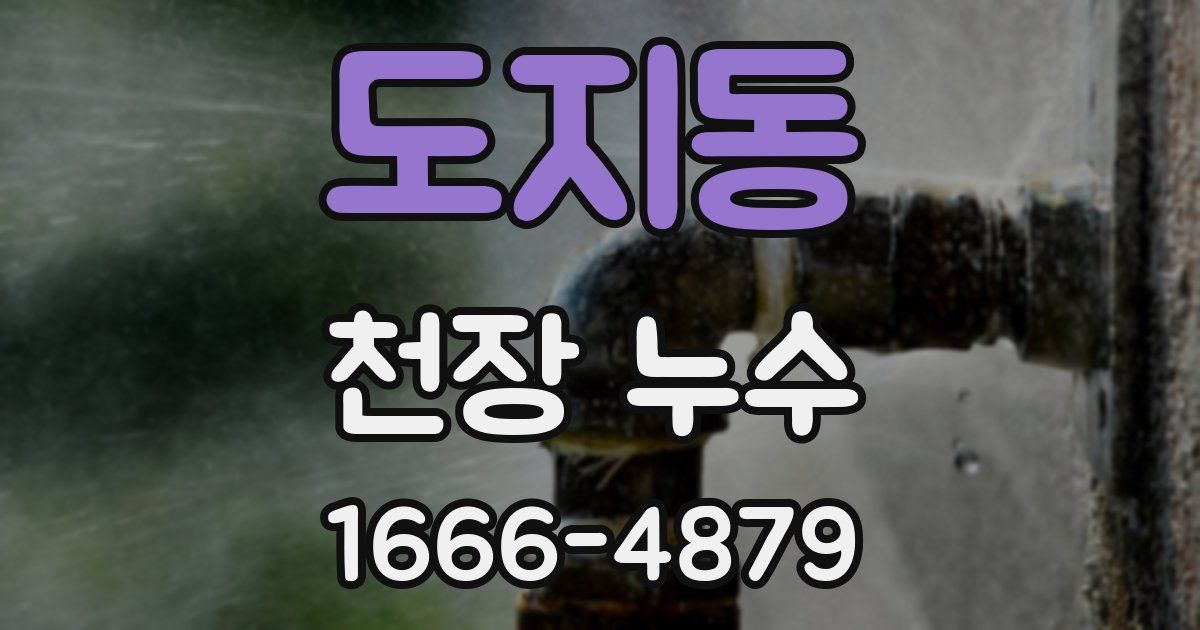 도지동 천장 누수