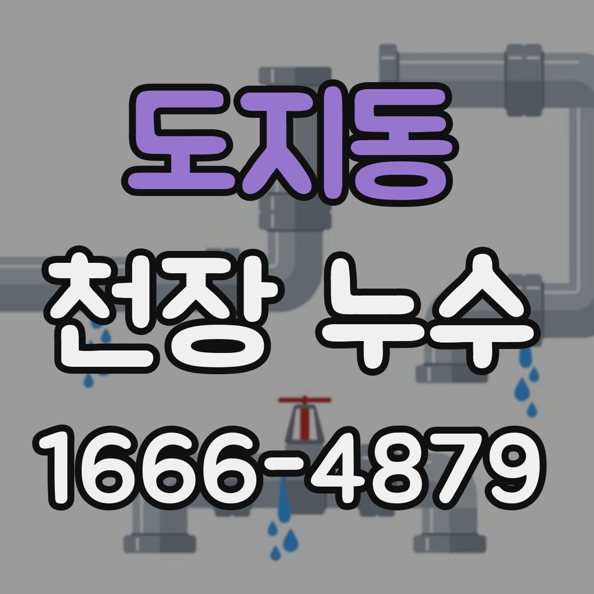 도지동 천장 누수