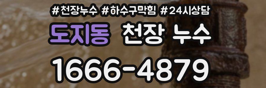 도지동 천장 누수