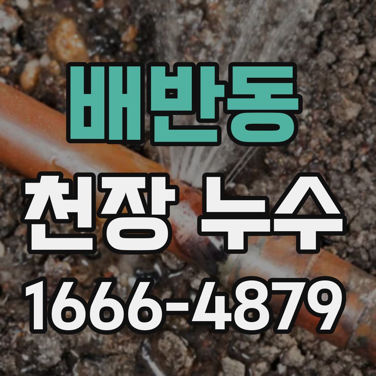 배반동 천장 누수