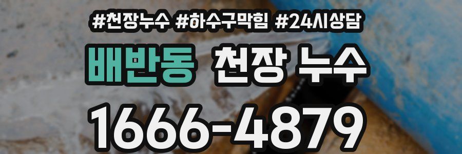 배반동 천장 누수