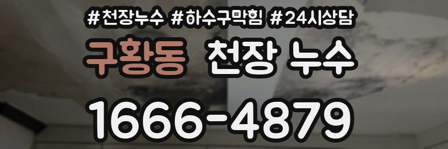 구황동 천장 누수