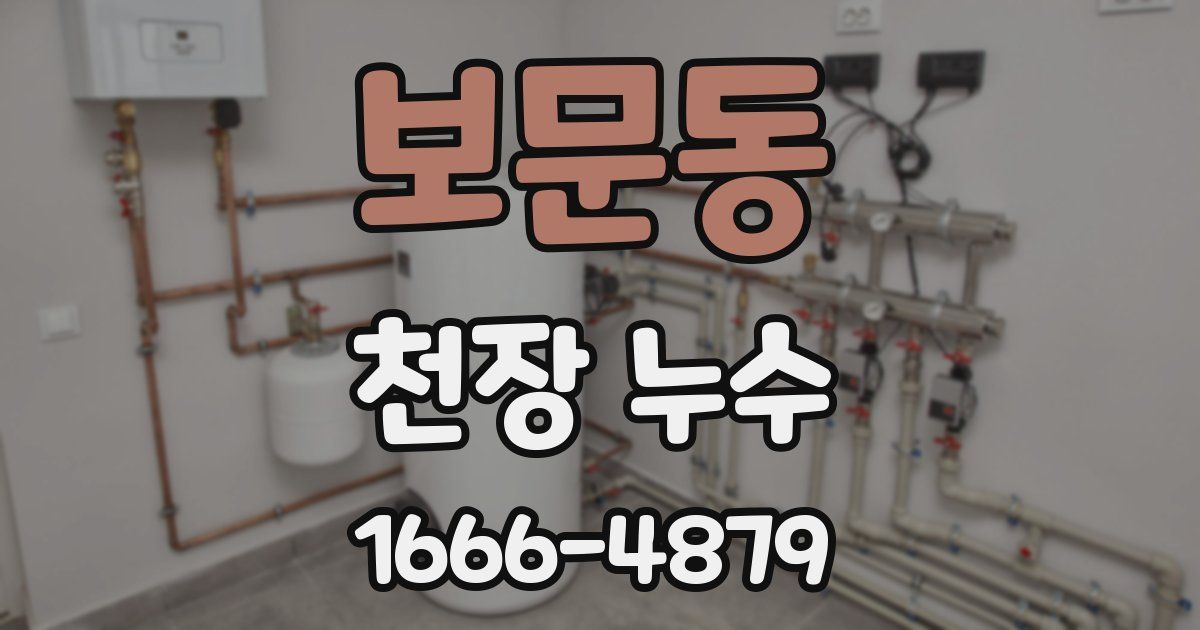 보문동 천장 누수