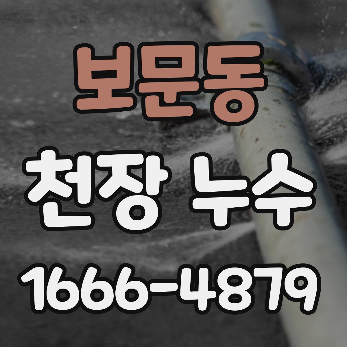 보문동 천장 누수