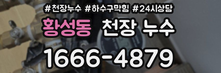 황성동 천장 누수