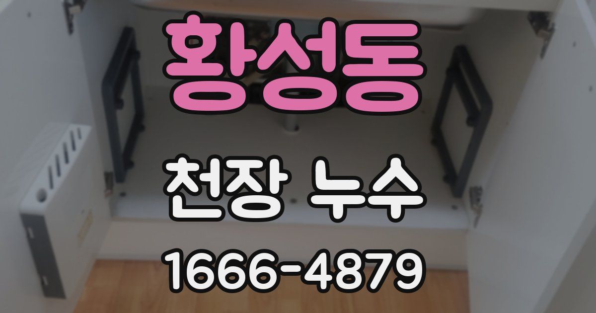 황성동 천장 누수