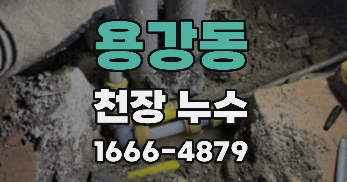 용강동 천장 누수