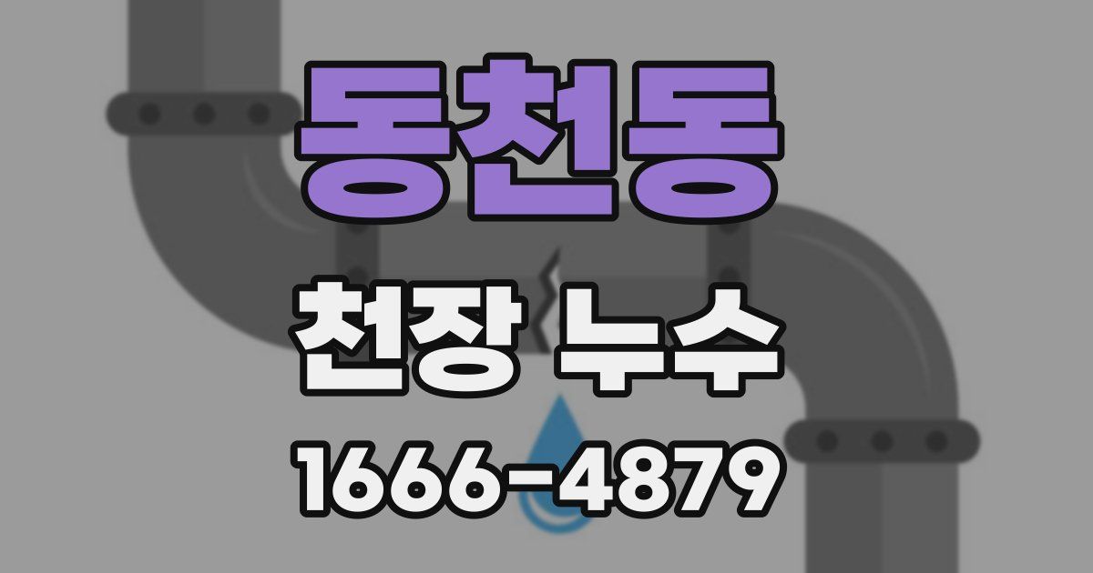 동천동 천장 누수