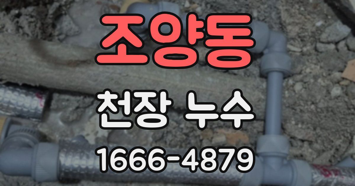 조양동 천장 누수