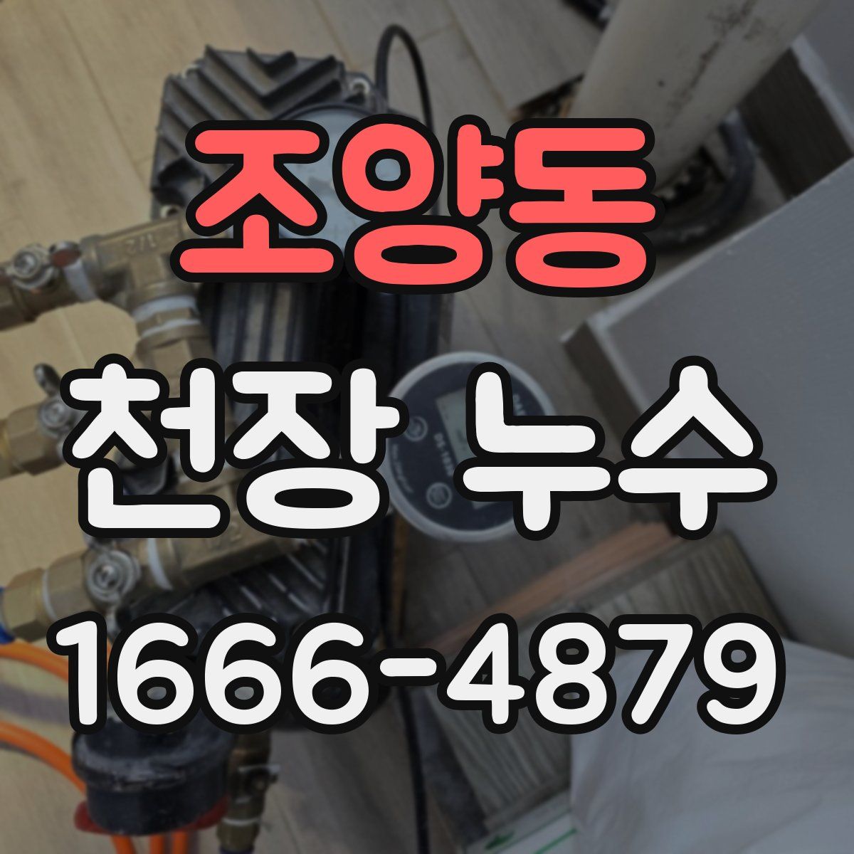 조양동 천장 누수