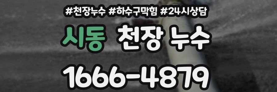 시동 천장 누수