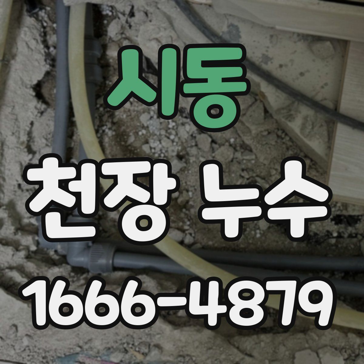 시동 천장 누수