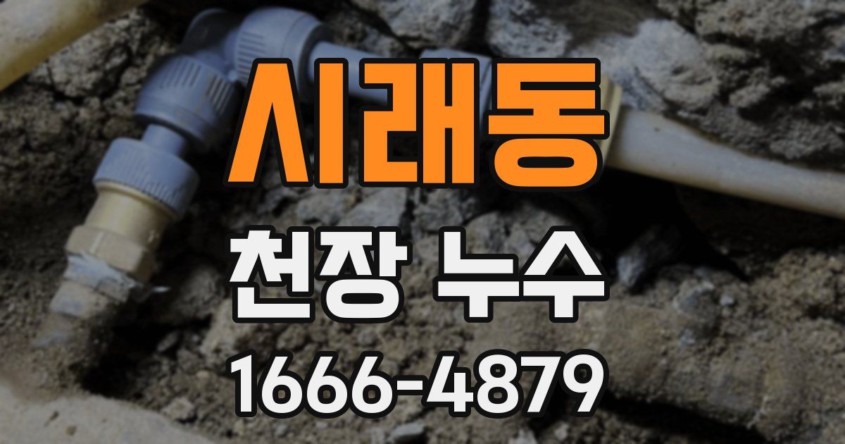 시래동 천장 누수